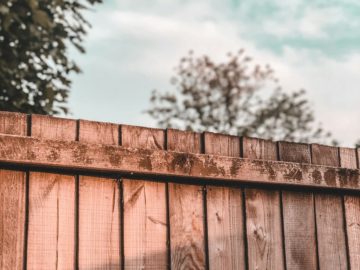 A close-board timber garden fence